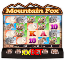 xxbet